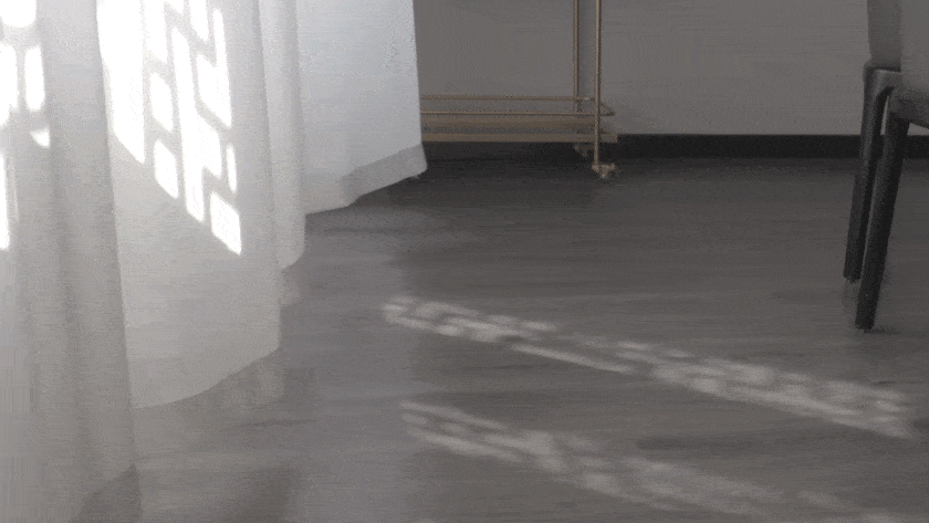 动图.gif