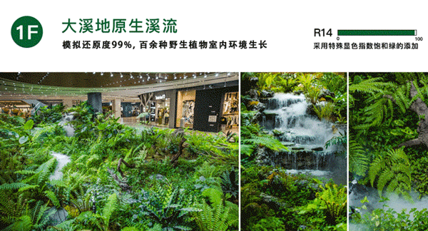 压缩动图.gif