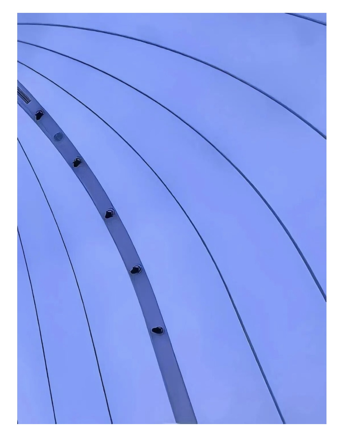1780975205835018884.jpg